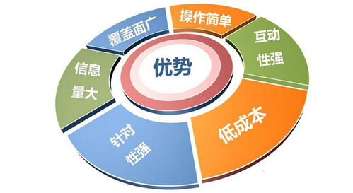 網(wǎng)絡(luò)營銷的推銷方法